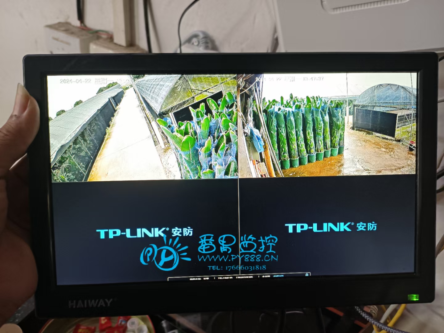 前锋农场监控工程