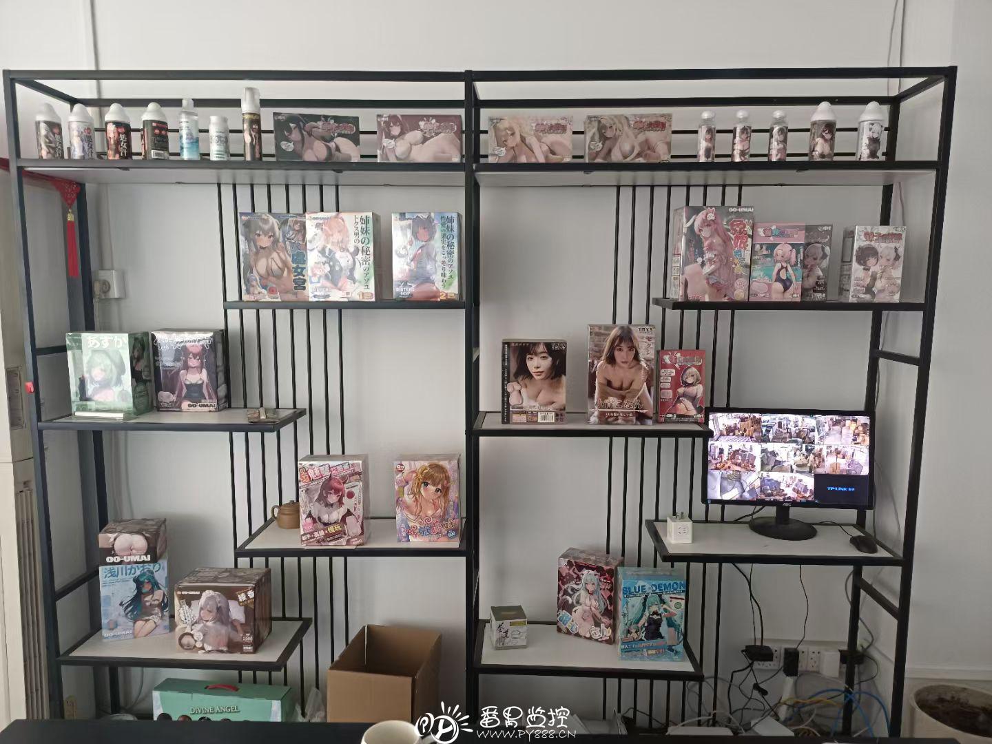 石基成人用品厂监控工程